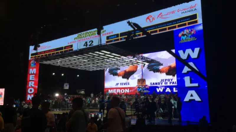 Meron and Wala Betting Odds Board and Totalisator Dividends