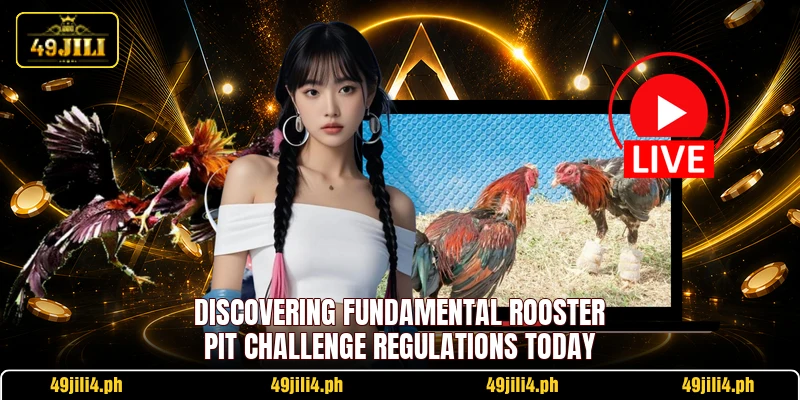 Discovering fundamental Rooster Pit Challenge regulations today