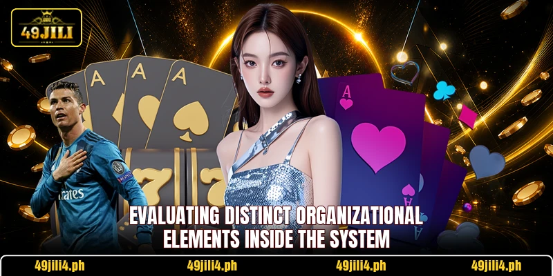 Evaluating distinct organizational elements inside the system